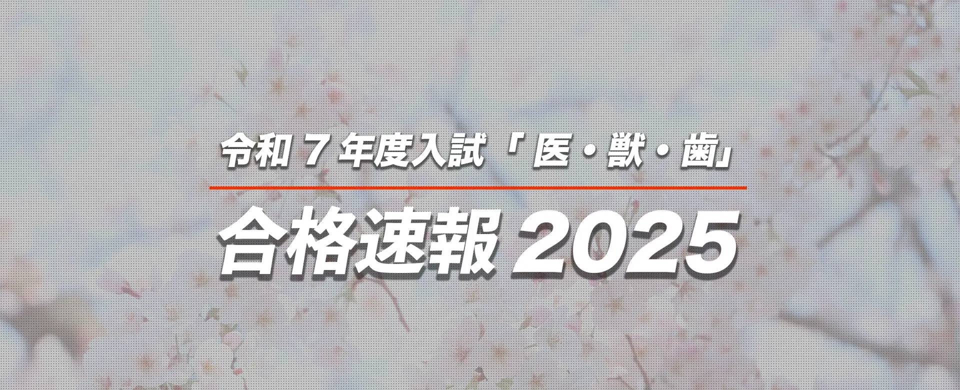 2025gokakusokuhouec-pc